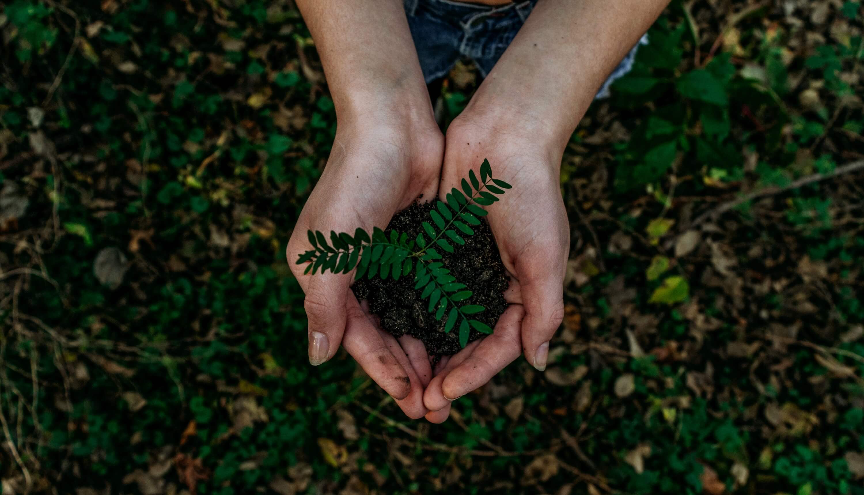 HICKS LAWN CARE & LANDSCAPING SERVICES