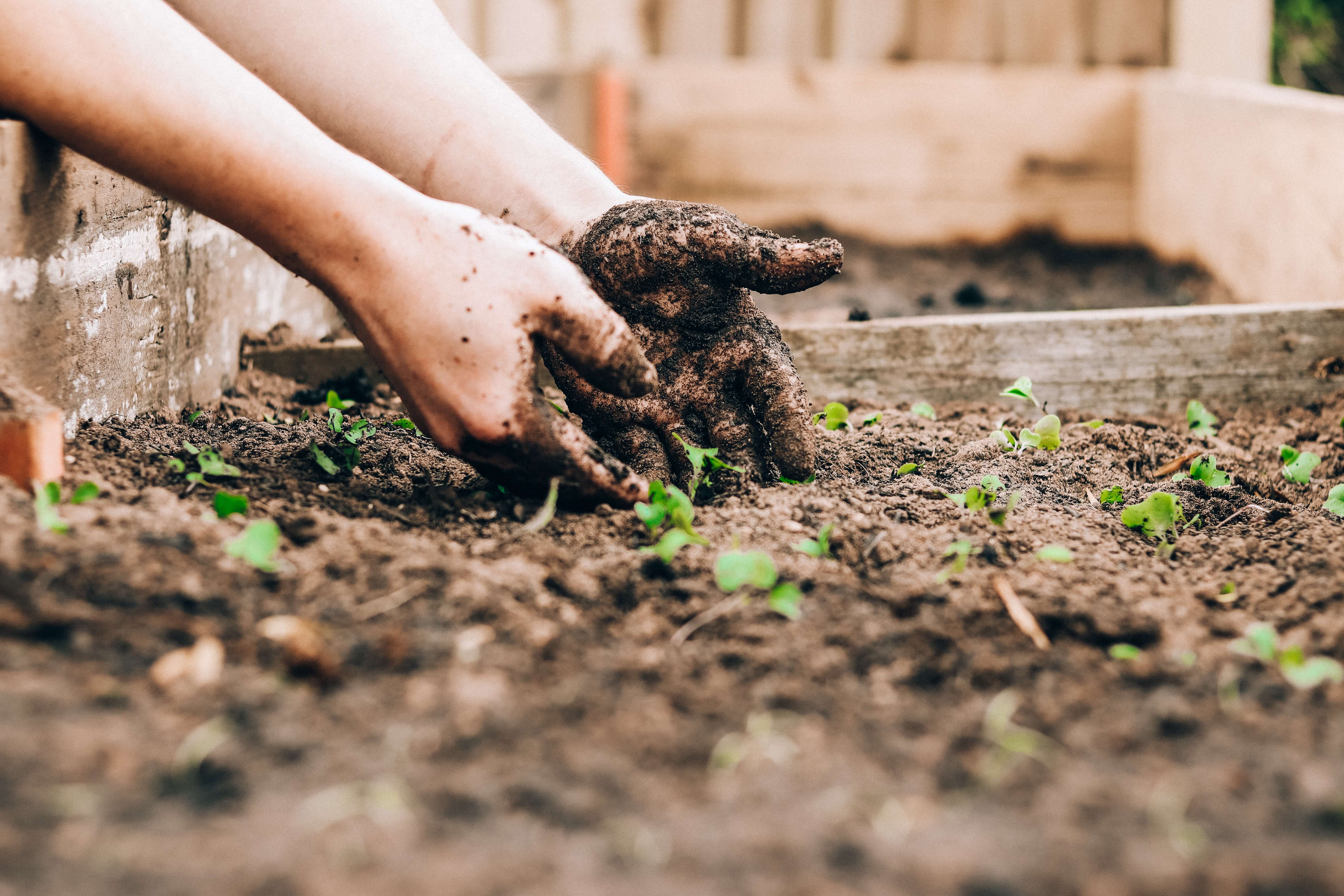 HICKS LAWN CARE & LANDSCAPING SERVICES